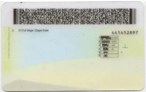 canada-manitoba-mb-canada-fake-id-medium-116-img1