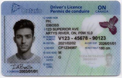 canada-ontario-on-canada-fake-id-medium-98-img0