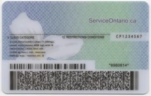 canada-ontario-on-canada-fake-id-medium-98-img1