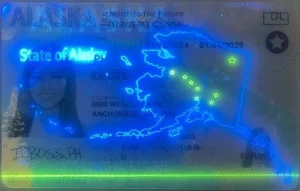 united-states-alaska-ak-fake-id-medium-67-img1
