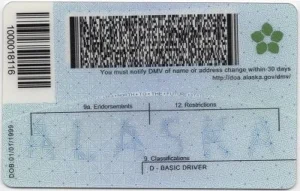 united-states-alaska-ak-fake-id-medium-67-img2