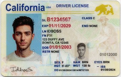 united-states-california-ca-fake-id-medium-3-img0