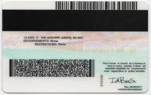 united-states-california-ca-fake-id-medium-3-img2