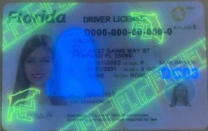united-states-florida-fake-id-medium-73-img3