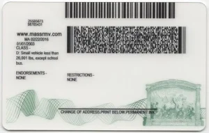 united-states-massachusetts-ma-fake-id-medium-83-img1