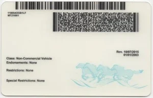 united-states-montana-mt-fake-id-medium-88-img1