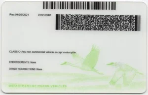 united-states-nebraska-ne-fake-id-medium-89-img1