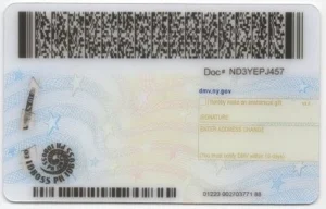 united-states-new-york-ny-fake-id-medium-94-img1