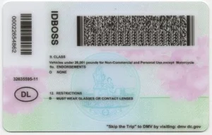 united-states-washington-wa-dc-fake-id-medium-108-img1