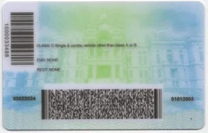 united-states-wyoming-wy-fake-id-medium-111-img1